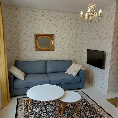 公寓 Charming Wooden House 48 M2 *